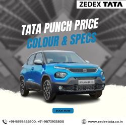 Tata Punch Price December Offer! 2022, Colour & Specs | Zede